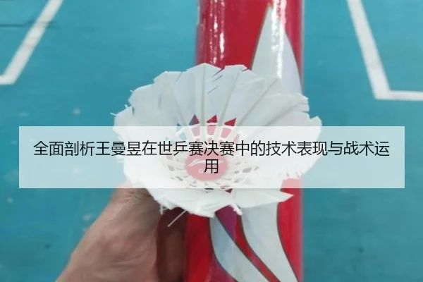 全面剖析王曼昱在世乒赛决赛中的技术表现与战术运用（BOYE SPORTS）